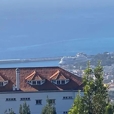 Carros De Cesto Do Monte *