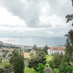 Carros De Cesto Do Monte Funchal (Madeira)
