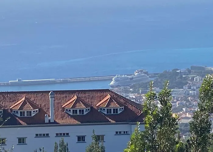 Carros De Cesto Do Monte *