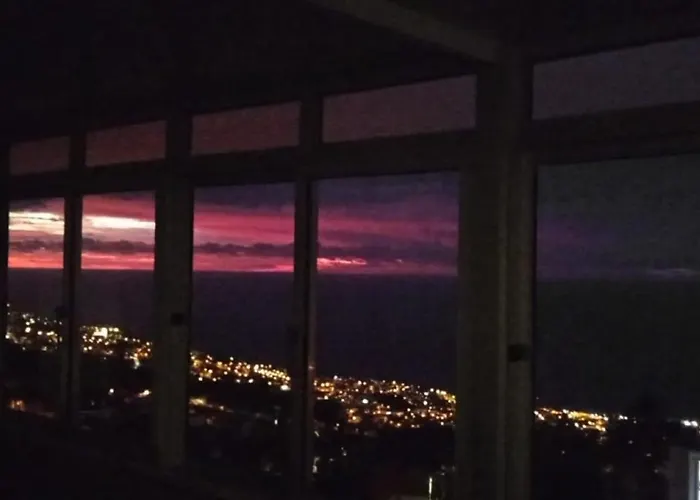 Carros De Cesto Do Monte * Funchal