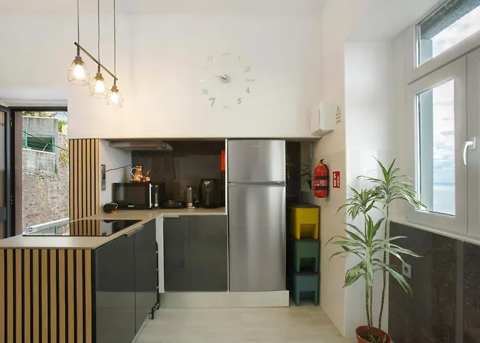 Carros De Cesto Do Monte Tatil Evi Funchal