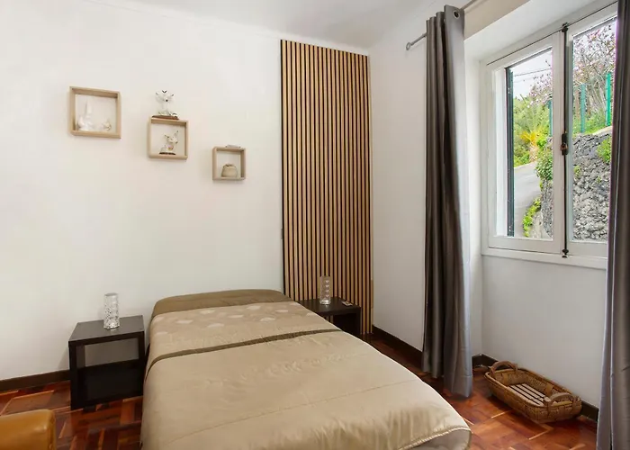 Carros De Cesto Do Monte Tatil Evi