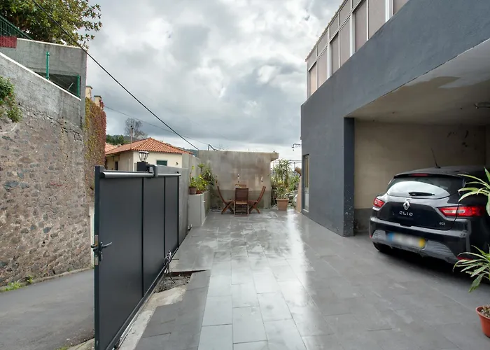 Carros De Cesto Do Monte