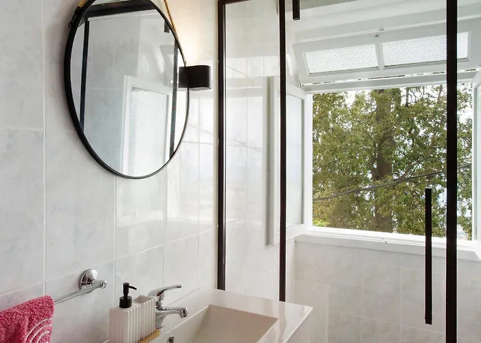 Carros De Cesto Do Monte Tatil Evi