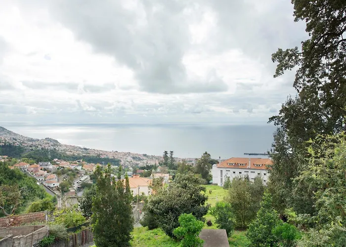 Carros De Cesto Do Monte