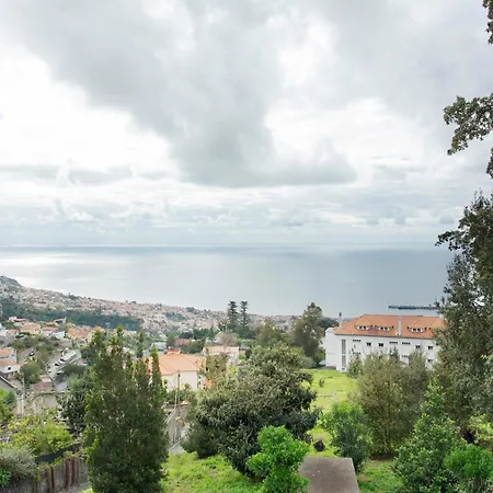 Carros De Cesto Do Monte